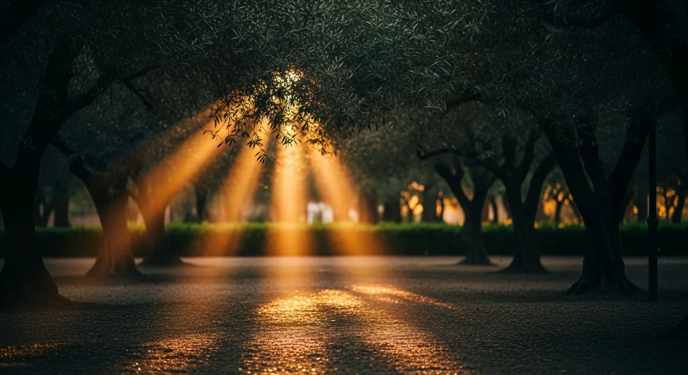 Sesión de fotos de familia en exterior con luz de atardecer dorado en Sevilla — Fotografía Ruiz